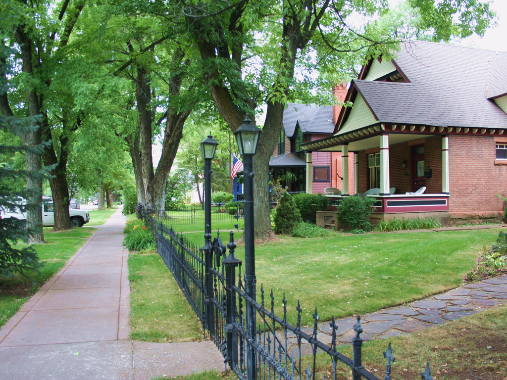 tree-lined-neighborhood-colorado